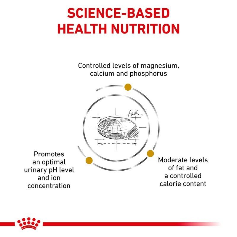Royal Canin Veterinary Cat - Urinary S/O  Cat Veterinary Diet - Image 4