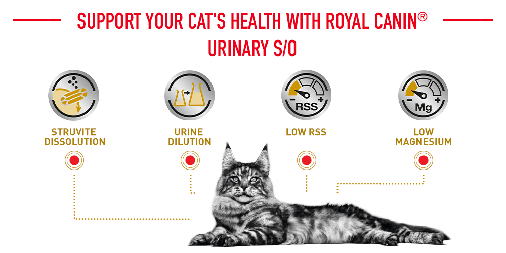 Royal Canin Veterinary Cat - Urinary S/O  Cat Veterinary Diet - Image 2