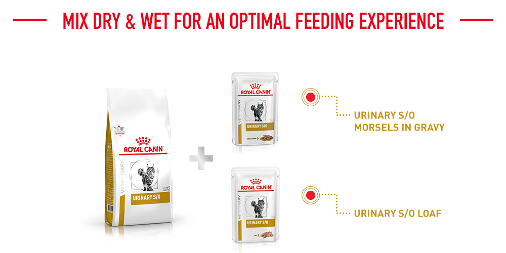 Royal Canin Veterinary Cat - Urinary S/O  Cat Veterinary Diet - Image 3